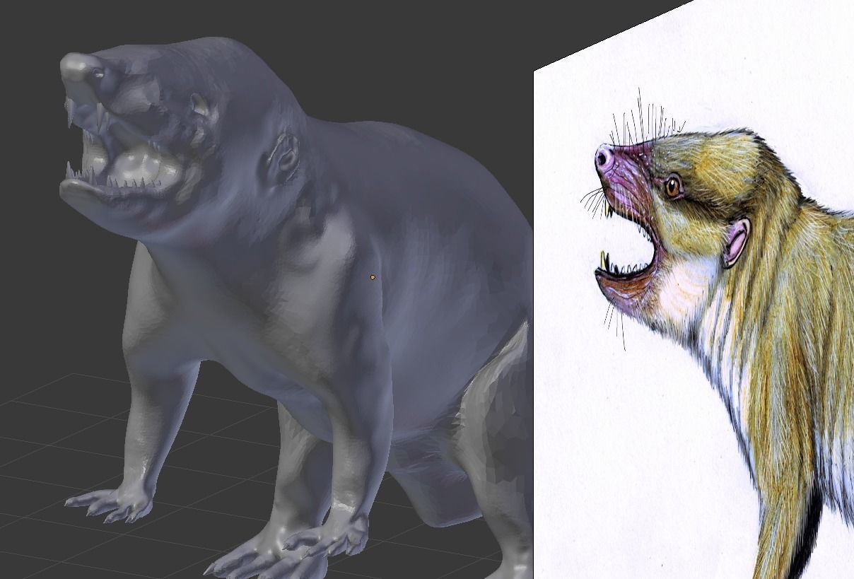 Gobiconodontidae -A rat lol 3D model_1