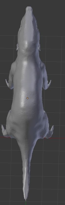 Gobiconodontidae -A rat lol 3D model_5