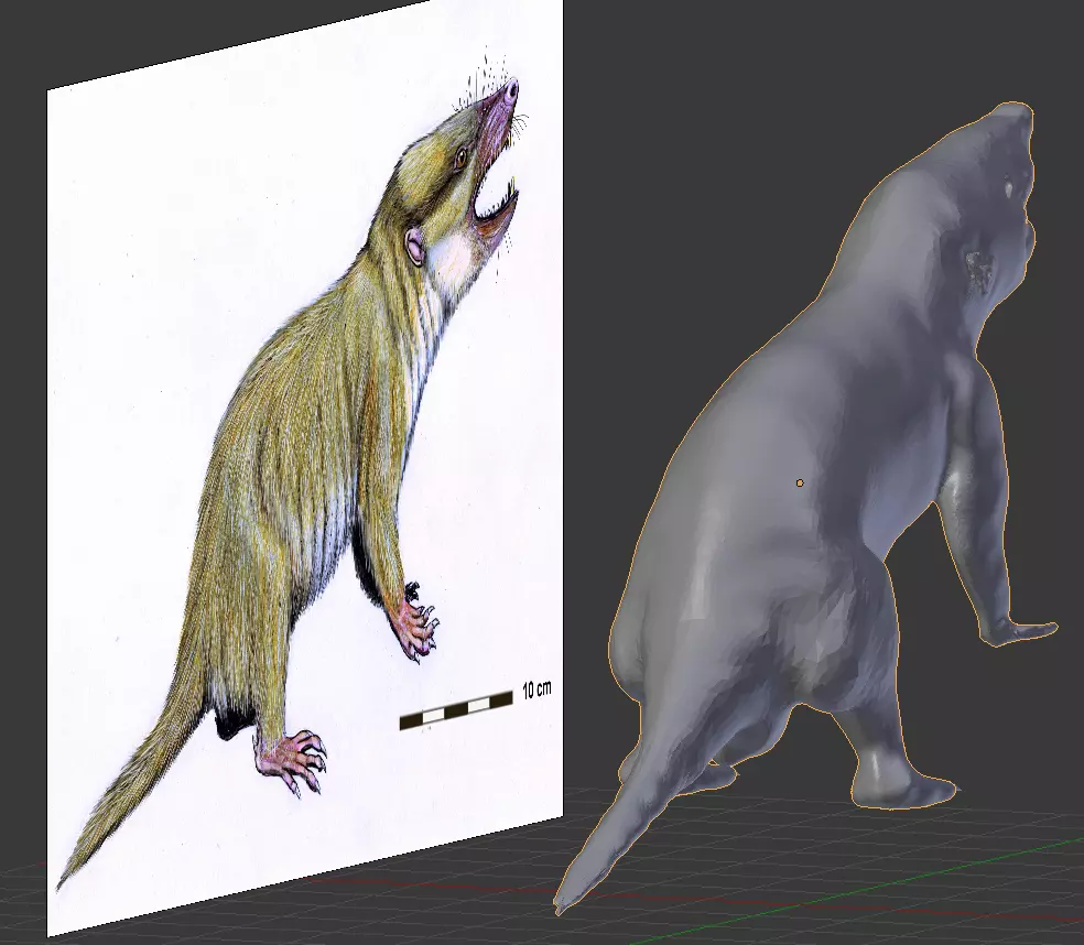 Gobiconodontidae -A rat lol 3D model_0