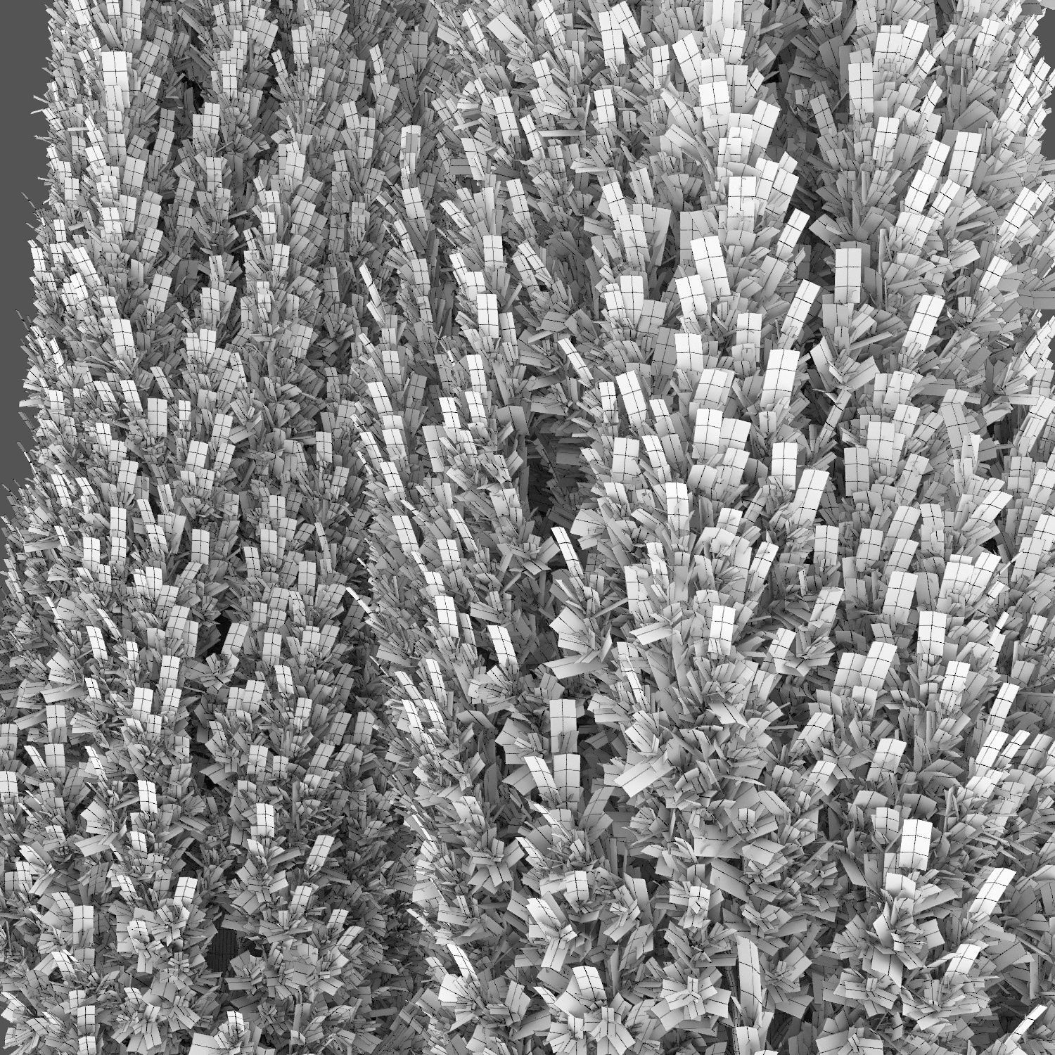 Juniperus scopulorum 02 3D model_2