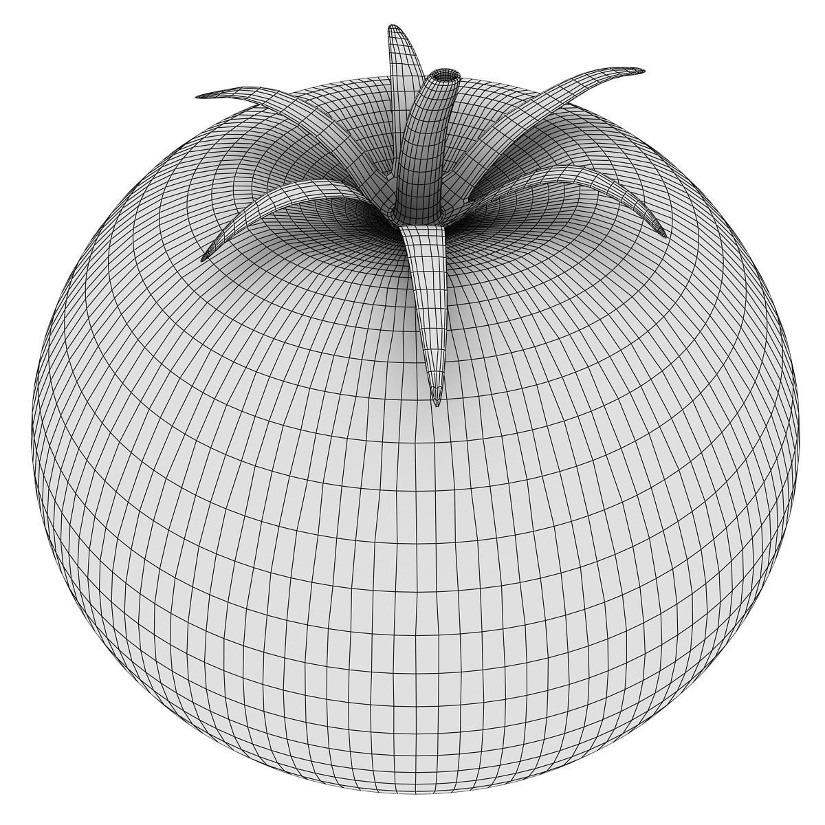 Tomato orange 3D model_4