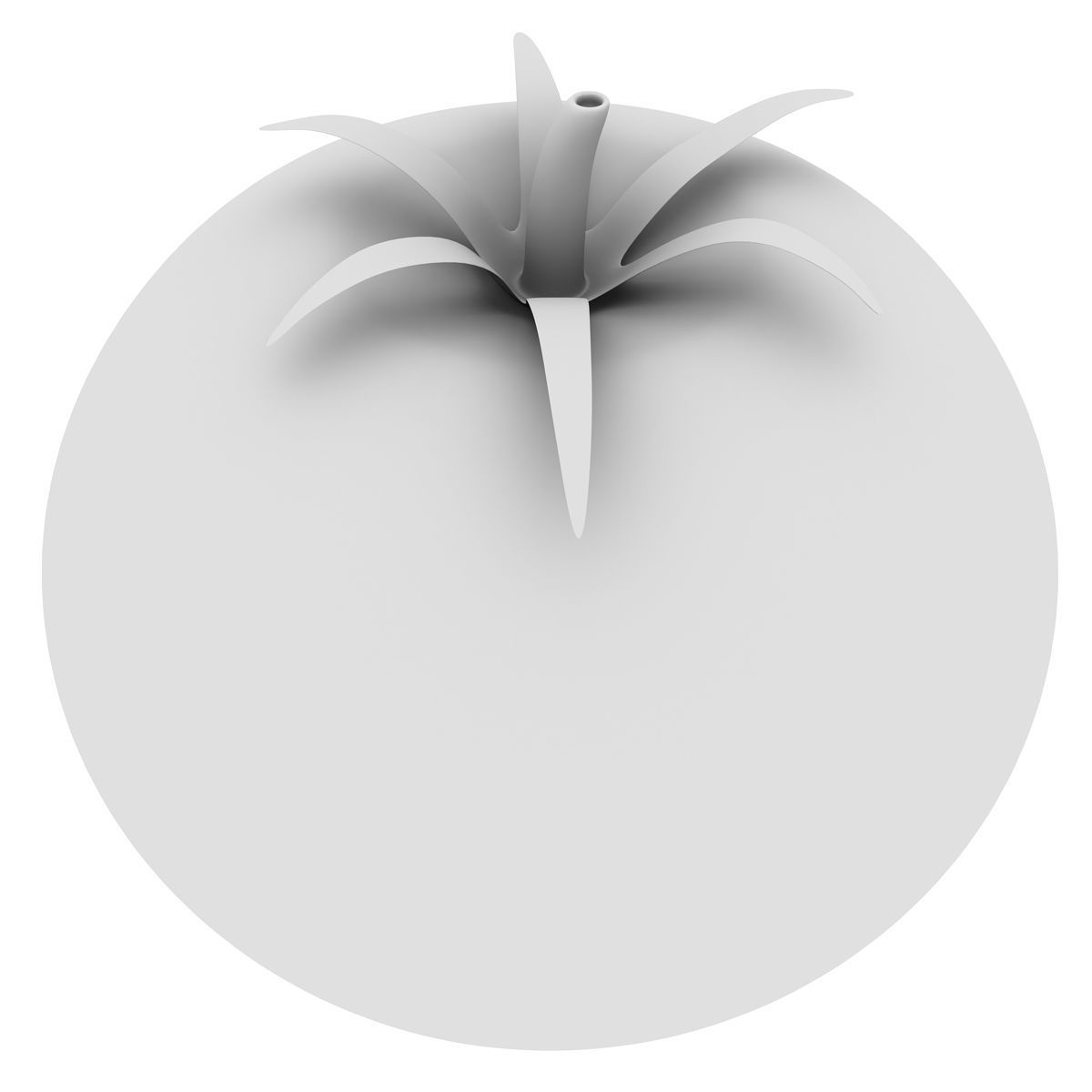 Tomato orange 3D model_3