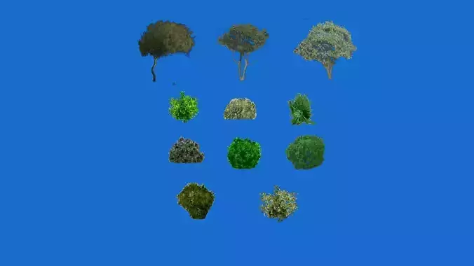 Low poly tree different trees Texture