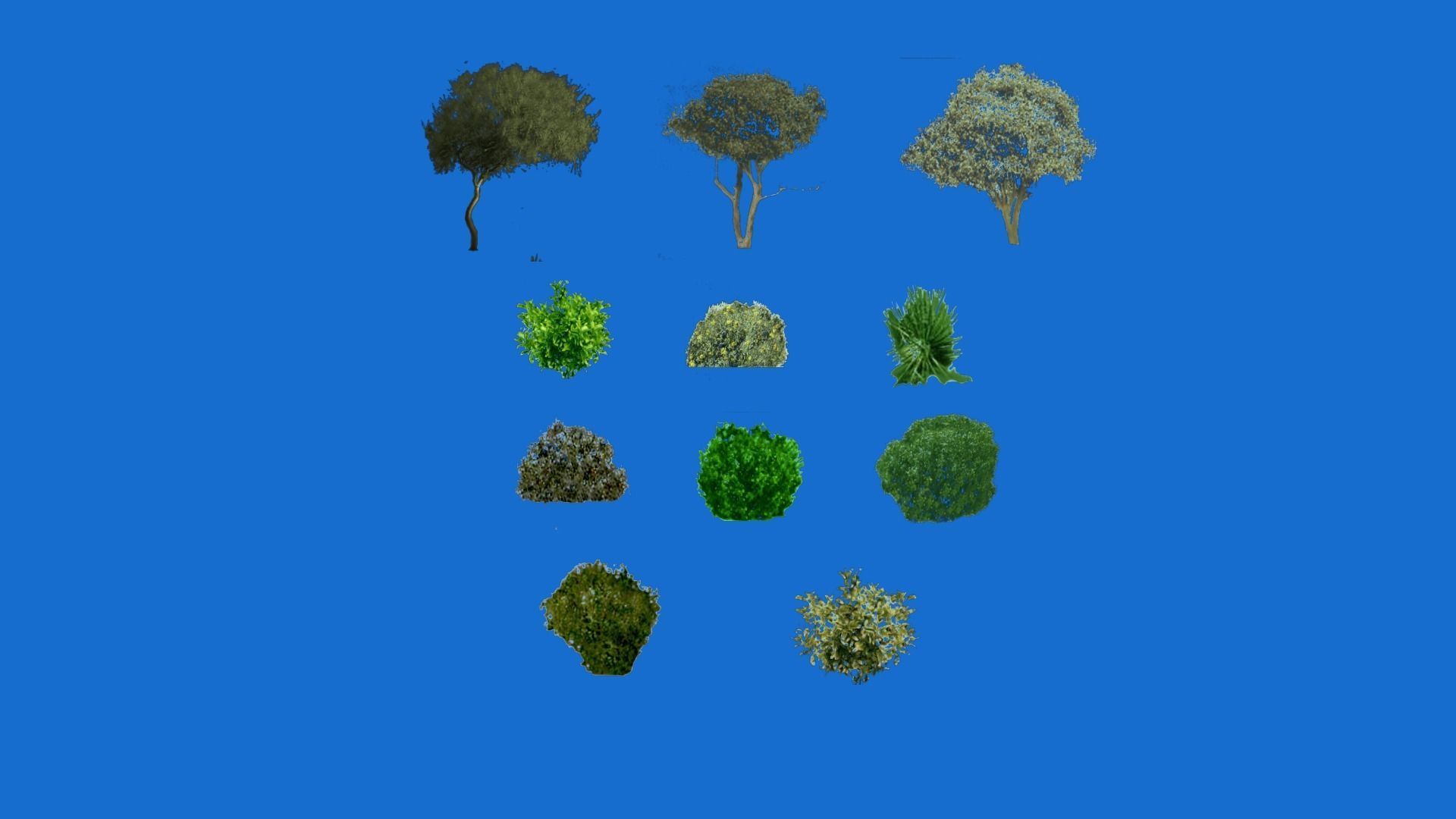 Low poly tree different trees Texture_1