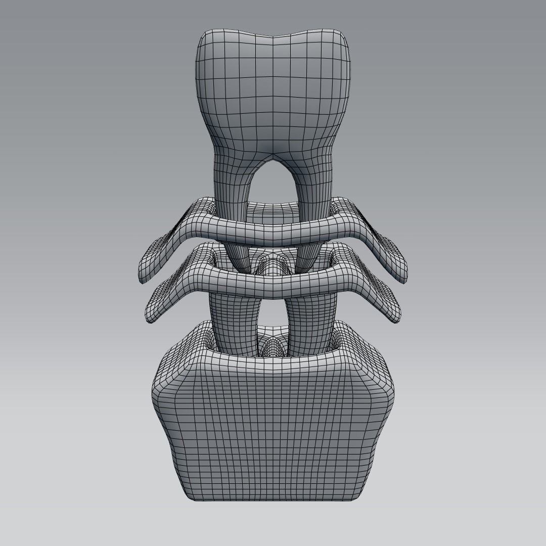 Tooth anatomy 3D model_11