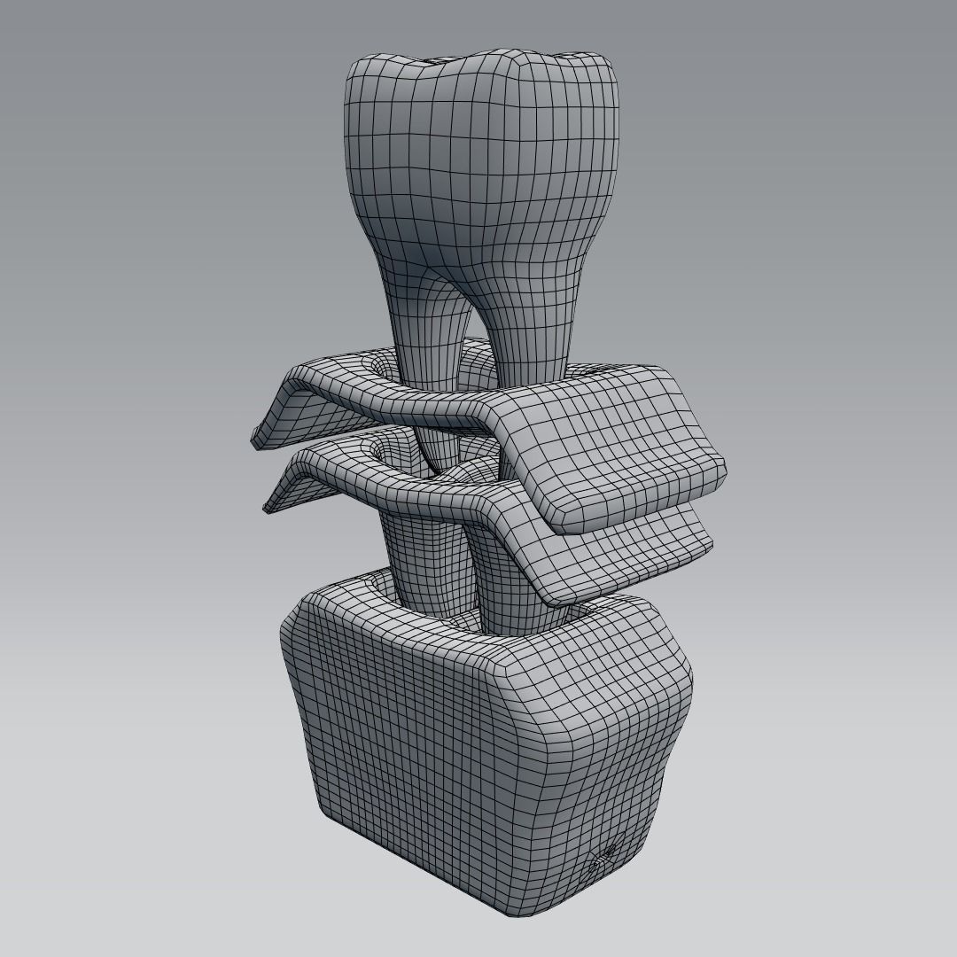 Tooth anatomy 3D model_12