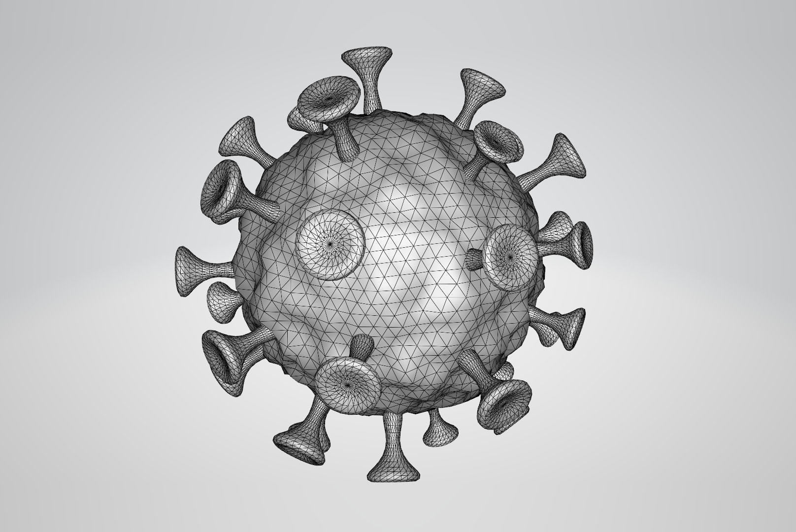Coronavirus 3D model_1
