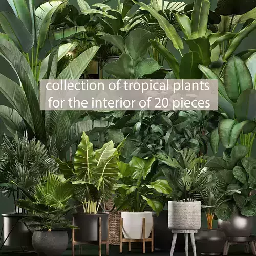Collection of potted plants for the interior of 20 pieces NEW 3D model