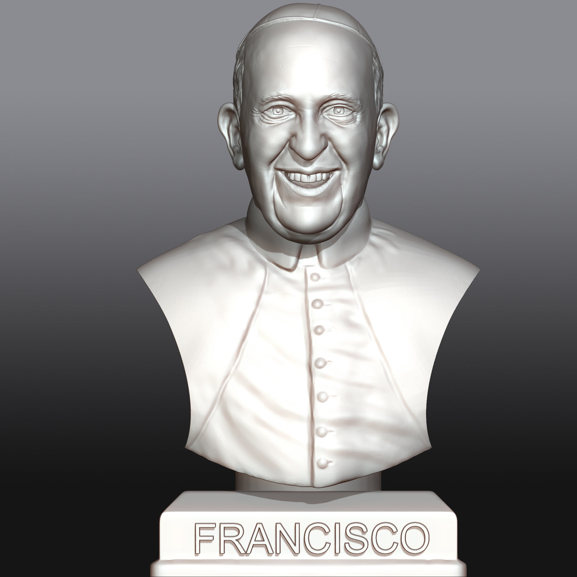 Pope Francis 3D printable portrait 3D model  3D print model_9