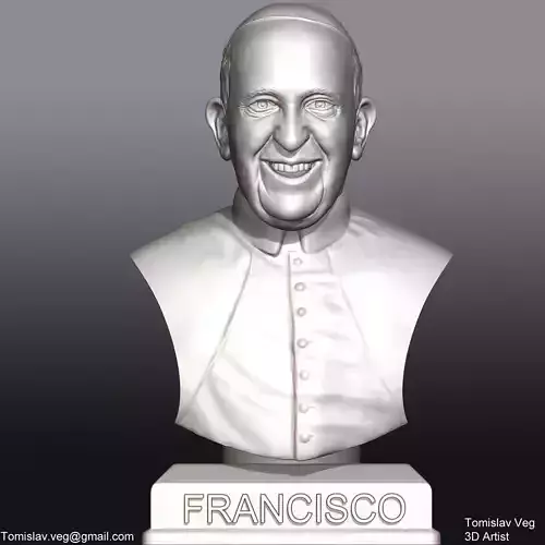 Pope Francis 3D printable portrait 3D model  3D print model
