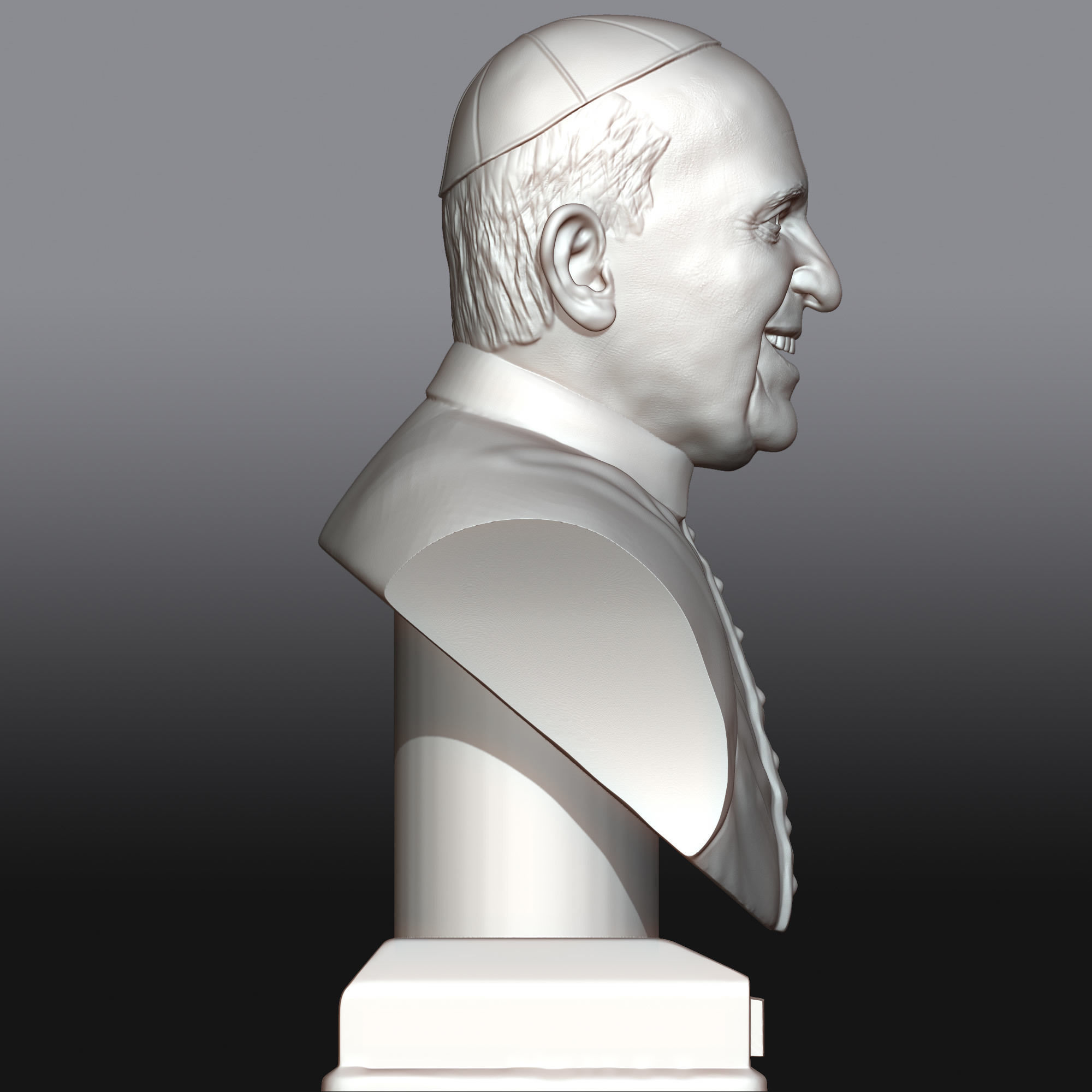 Pope Francis 3D printable portrait 3D model  3D print model_11
