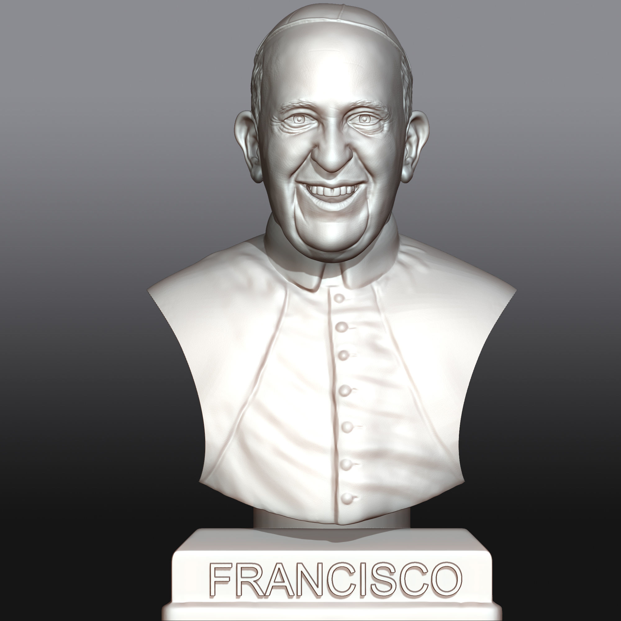 Pope Francis 3D printable portrait 3D model  3D print model_8