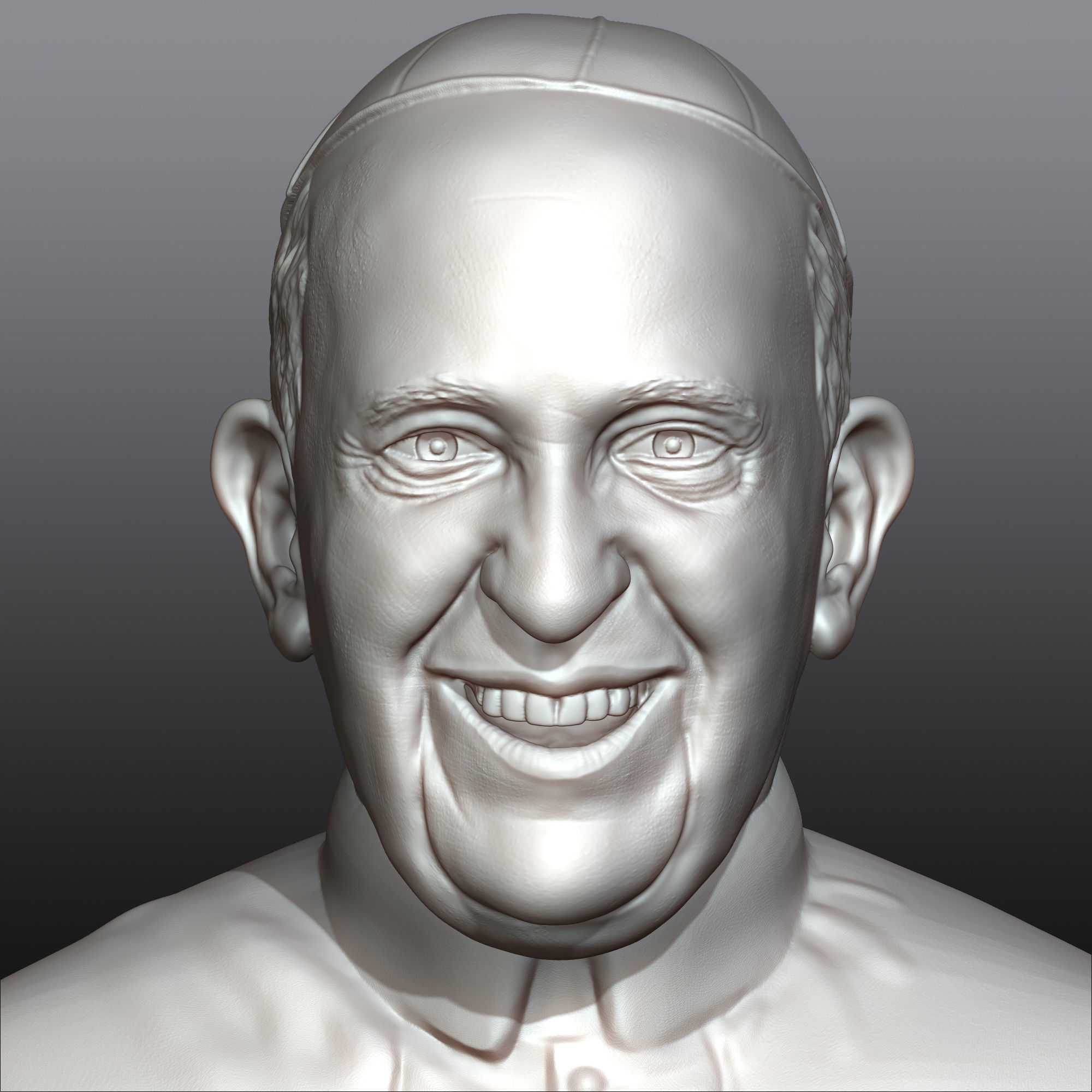 Pope Francis 3D printable portrait 3D model  3D print model_6