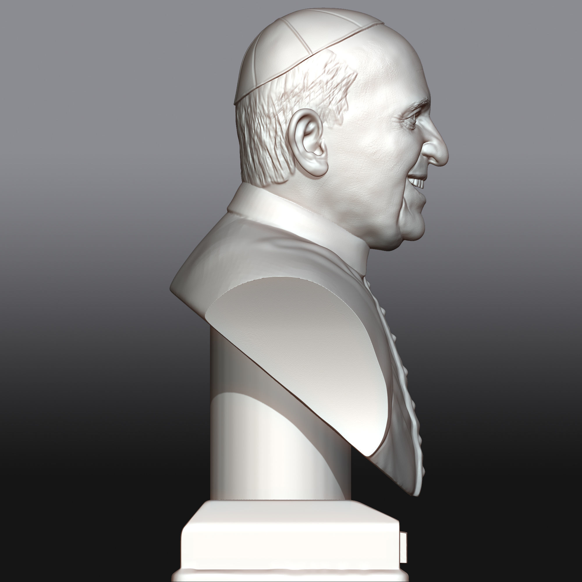 Pope Francis 3D printable portrait 3D model  3D print model_10