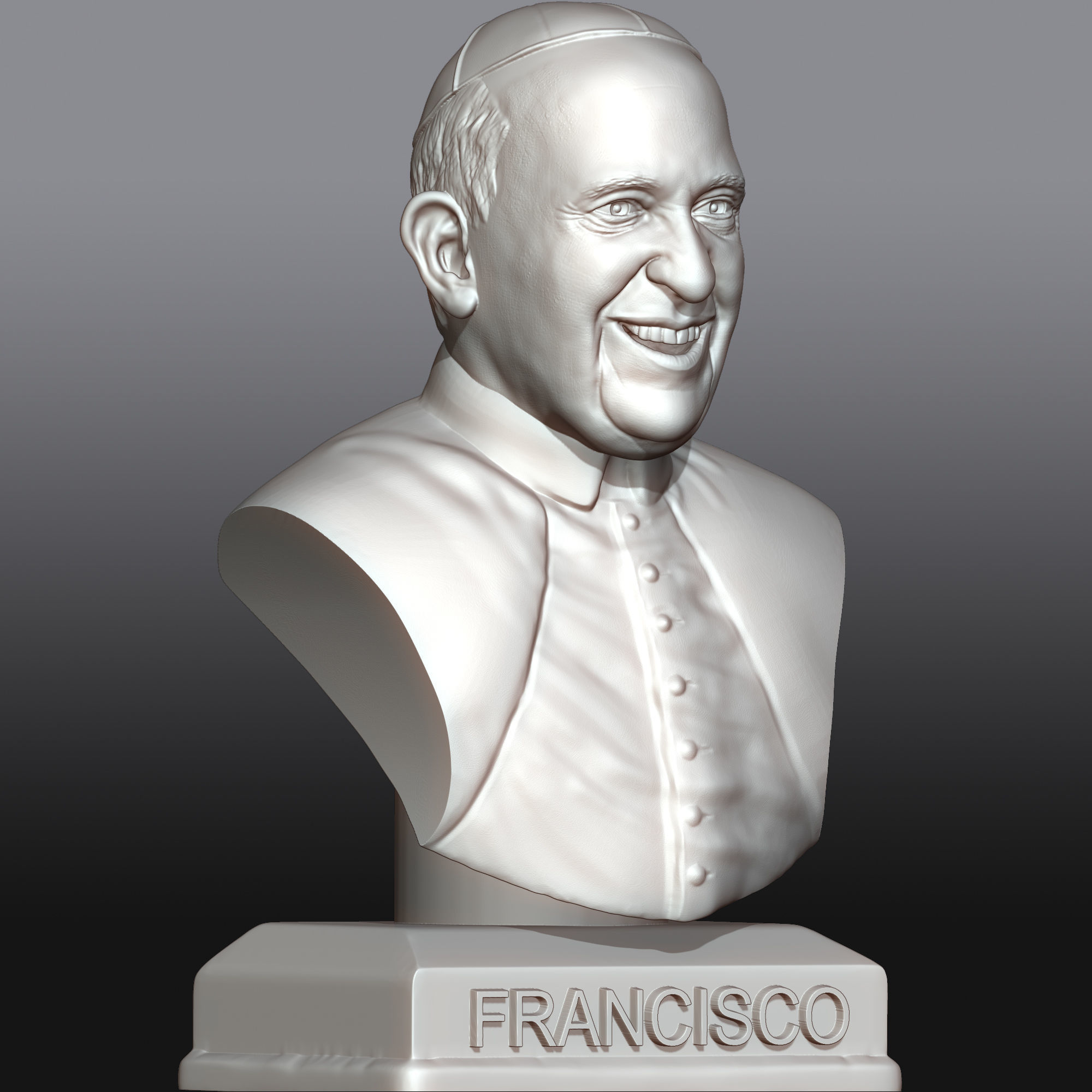 Pope Francis 3D printable portrait 3D model  3D print model_3