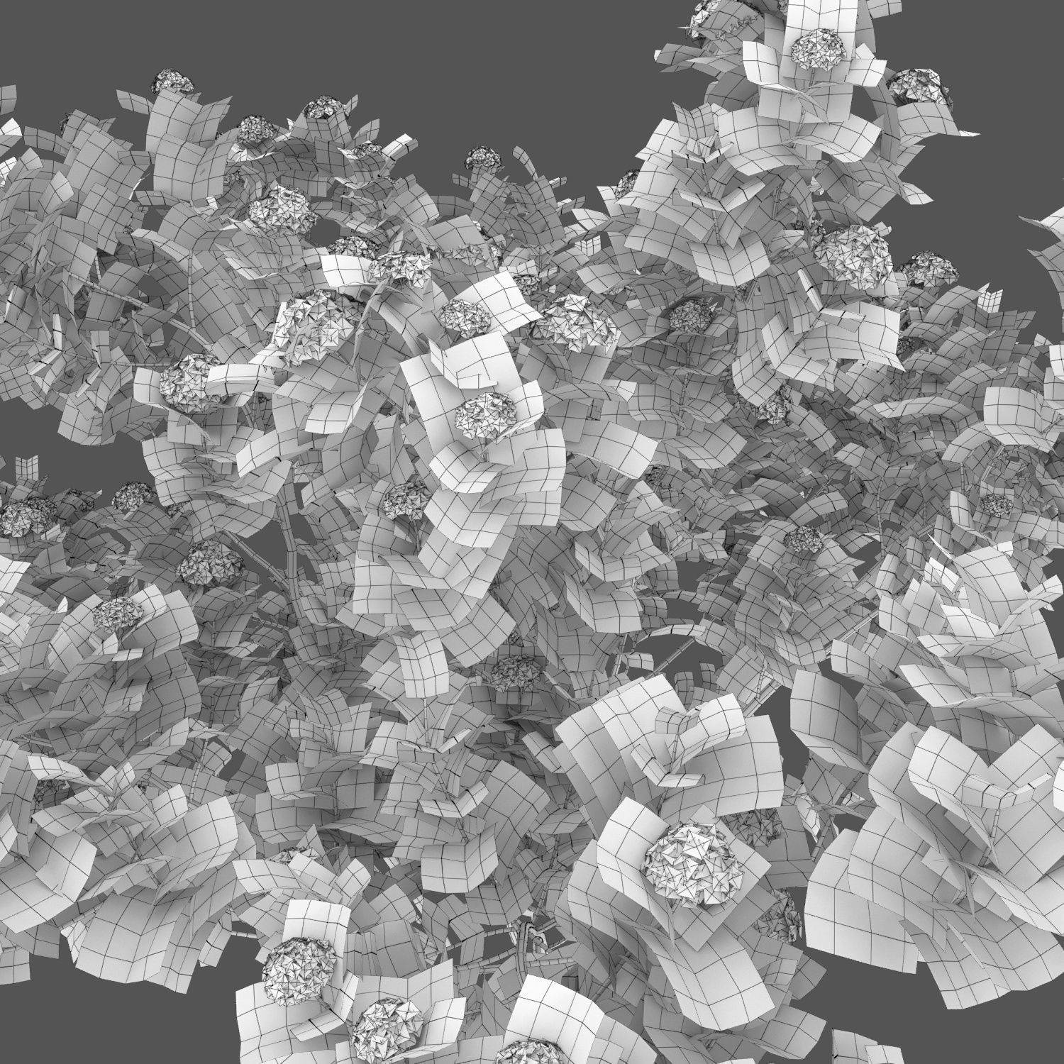 Physocarpus Opulifolius 01 3D model_4