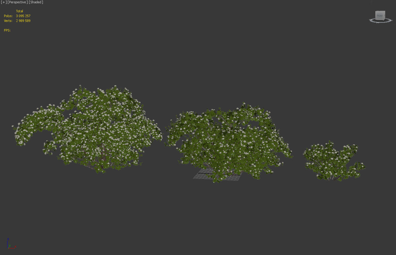 Physocarpus Opulifolius 01 3D model_3