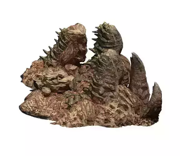 Desert - BOSS Altar Fossil Bones 02