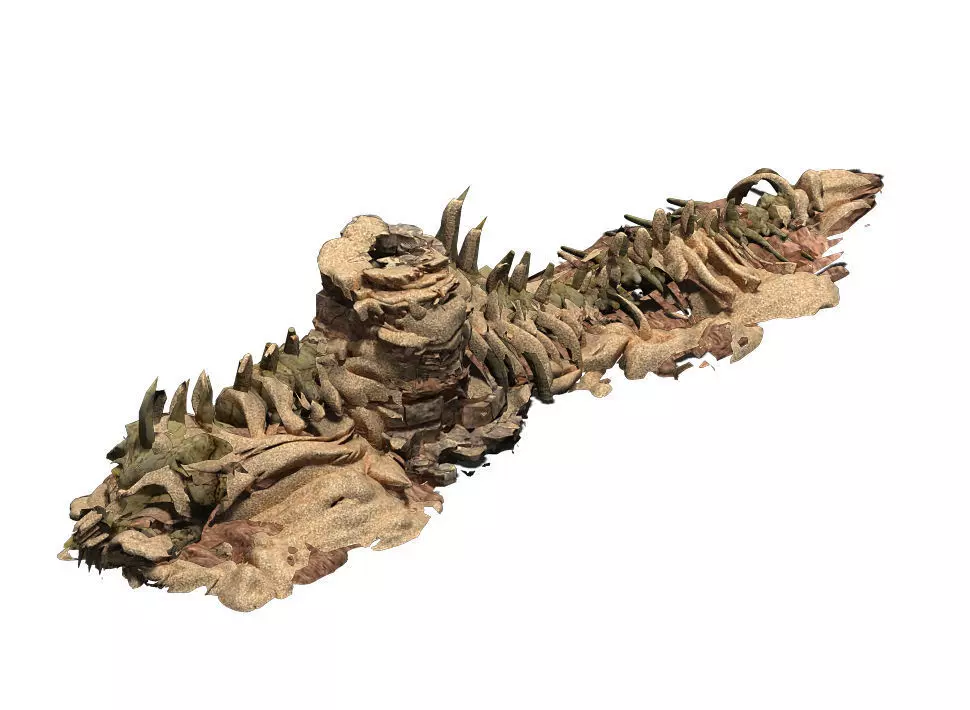 Desert - BOSS Altar Fossil Bones 03 3D model_0