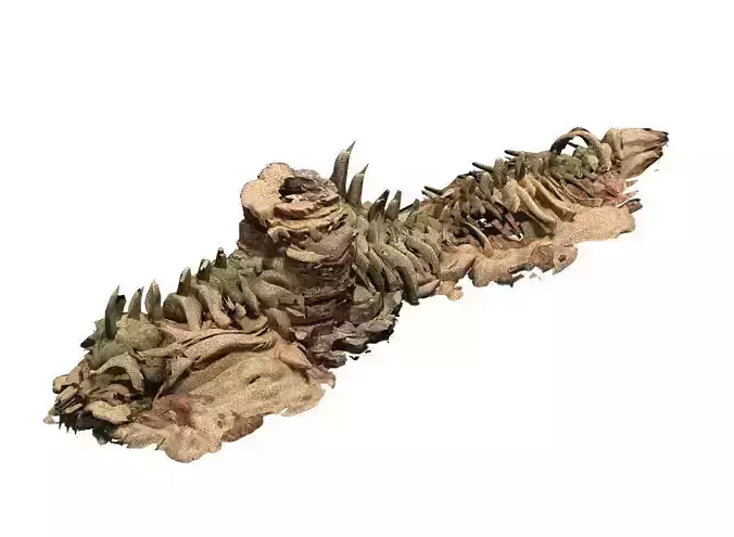 Desert - BOSS Altar Fossil Bones 03