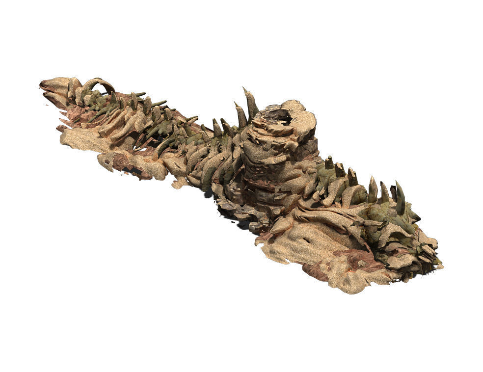 Desert - BOSS Altar Fossil Bones 03 3D model_3