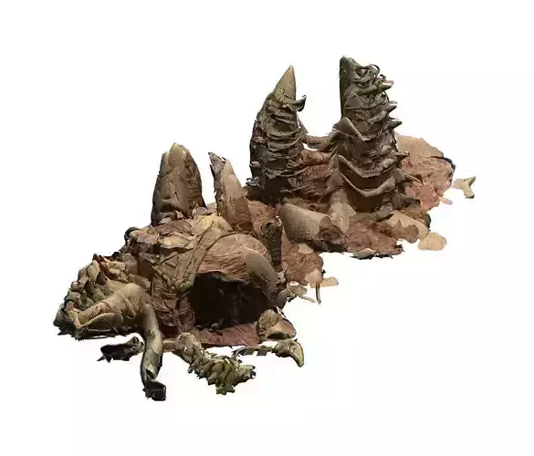 Desert - BOSS Altar Fossil Bones 04