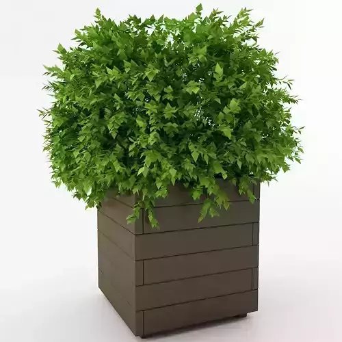 Planter Box
