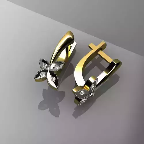 Earrings pair of shoes