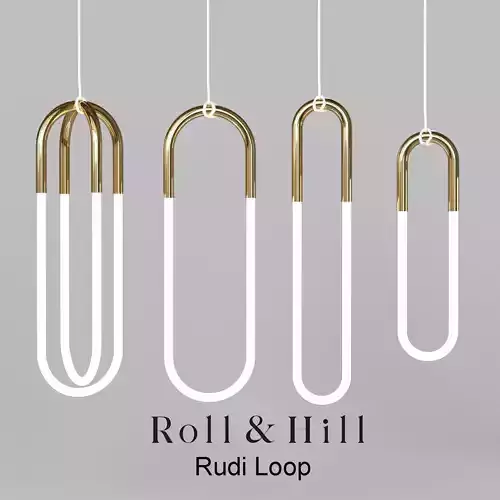Rudi Loop 3D model