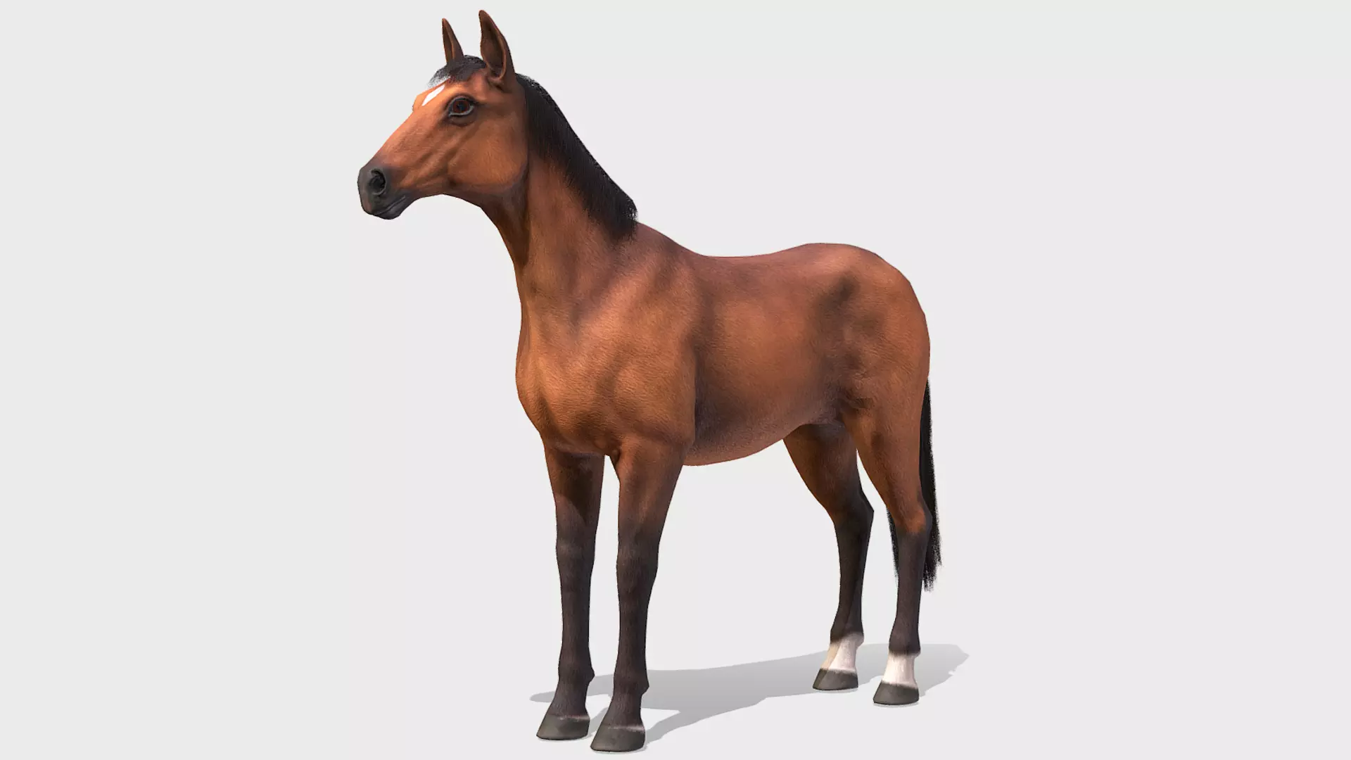 Horse realistic Low-poly 3D model_0