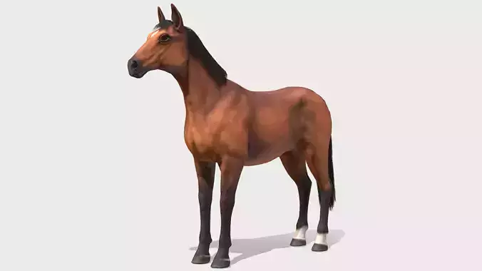 Horse realistic Low-poly 3D model