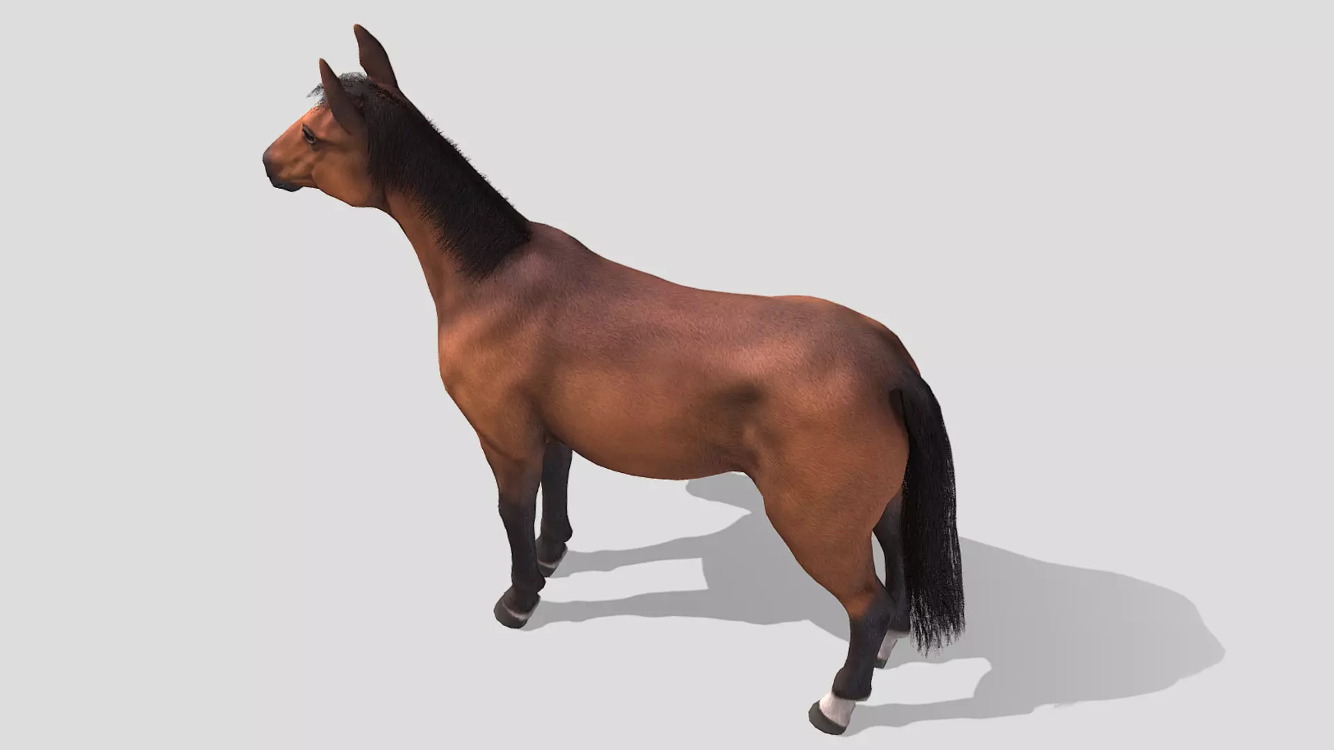 Horse realistic Low-poly 3D model_5