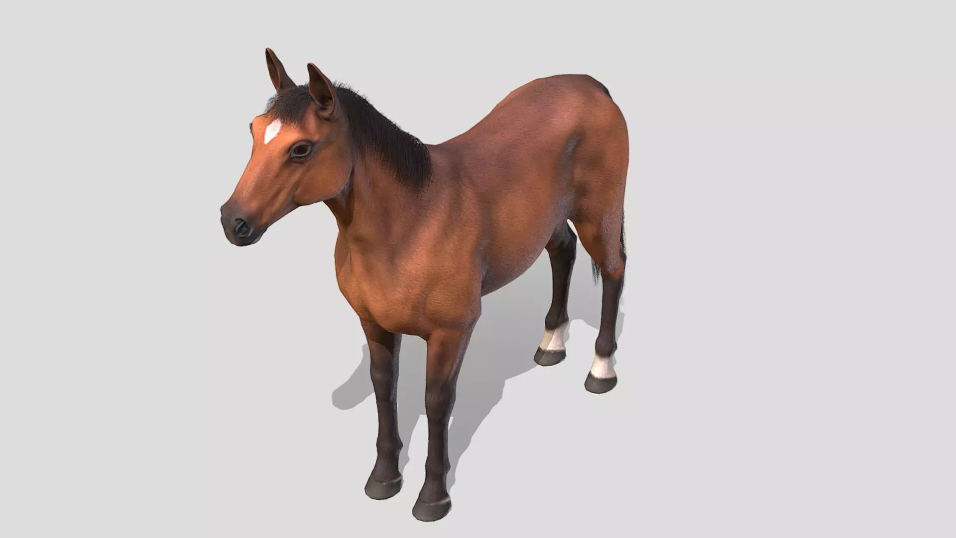 Horse realistic Low-poly 3D model_4