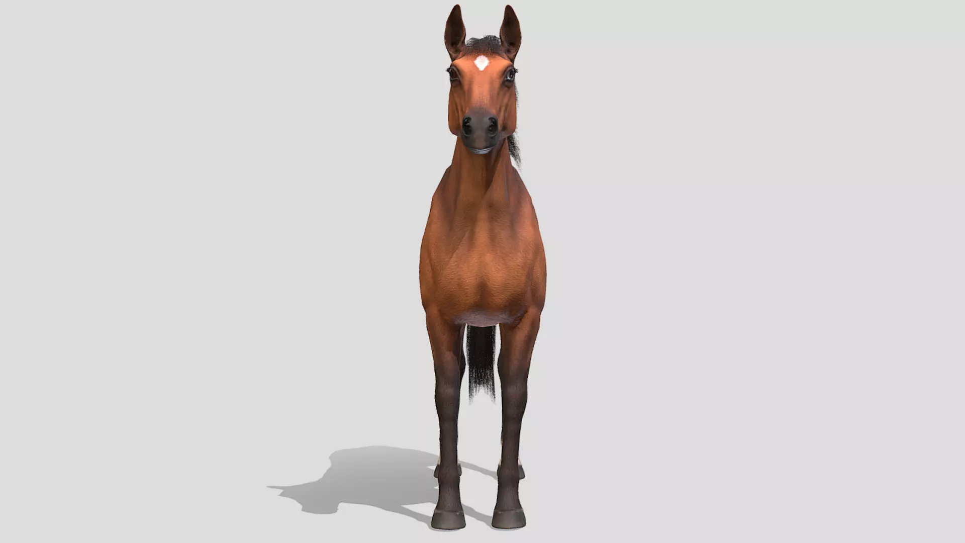 Horse realistic Low-poly 3D model_3