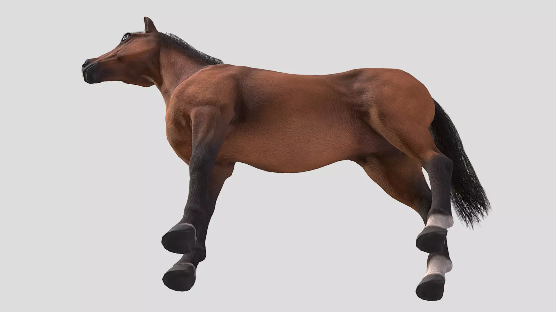 Horse realistic Low-poly 3D model_6