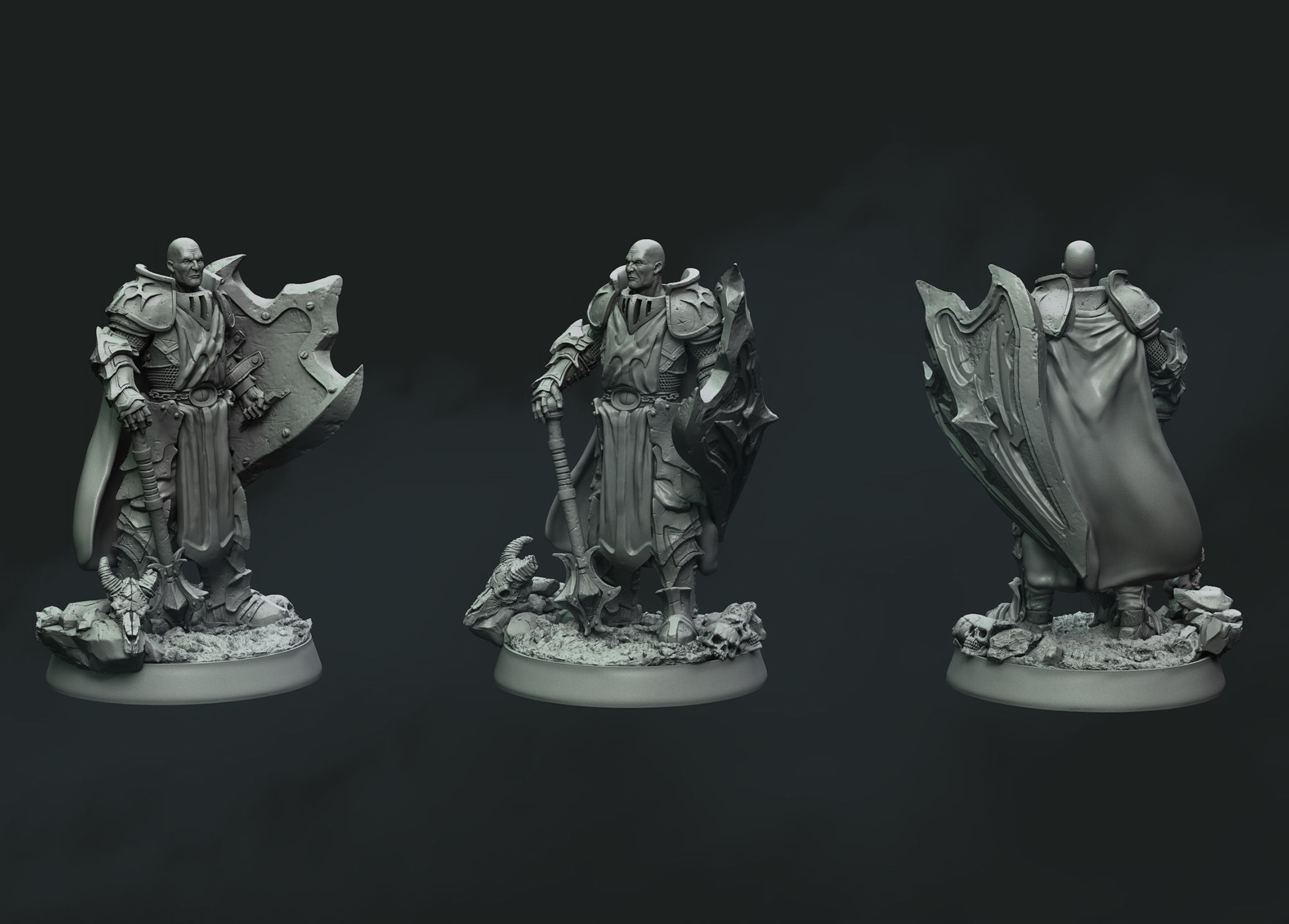 HERO PALADIN 3D print model_3