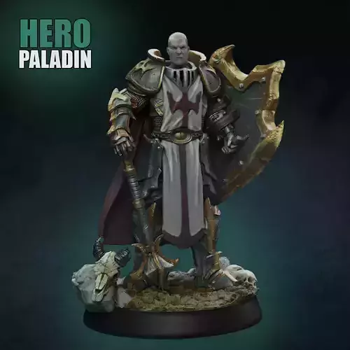 HERO PALADIN 3D print model