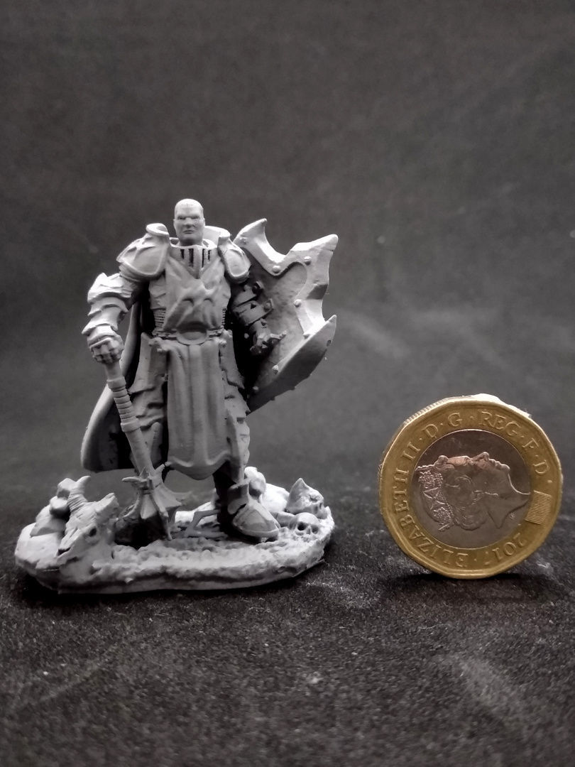 HERO PALADIN 3D print model_2