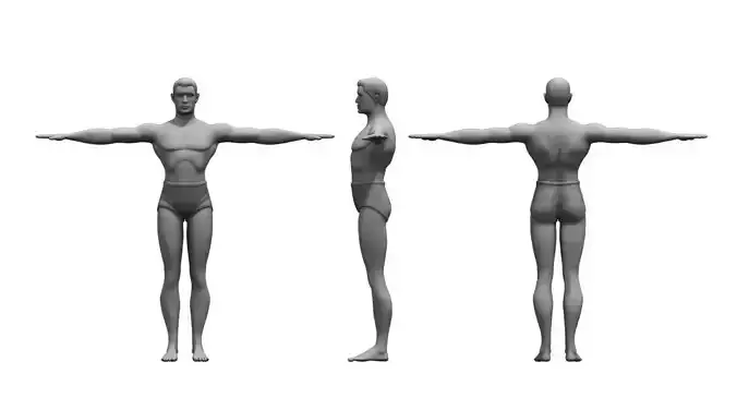 human body 3d model 