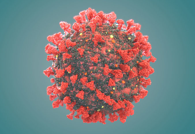 Corona Virus COVID-19 Ultra High Poly Molecule 3D model