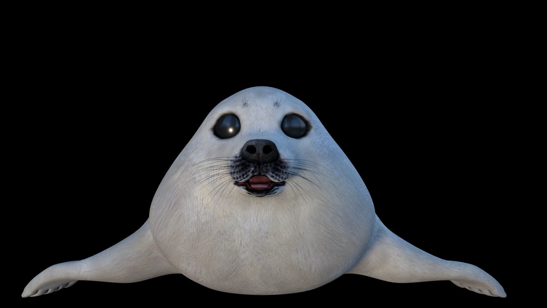 White seal pup  3D model Low-poly 3D model_8