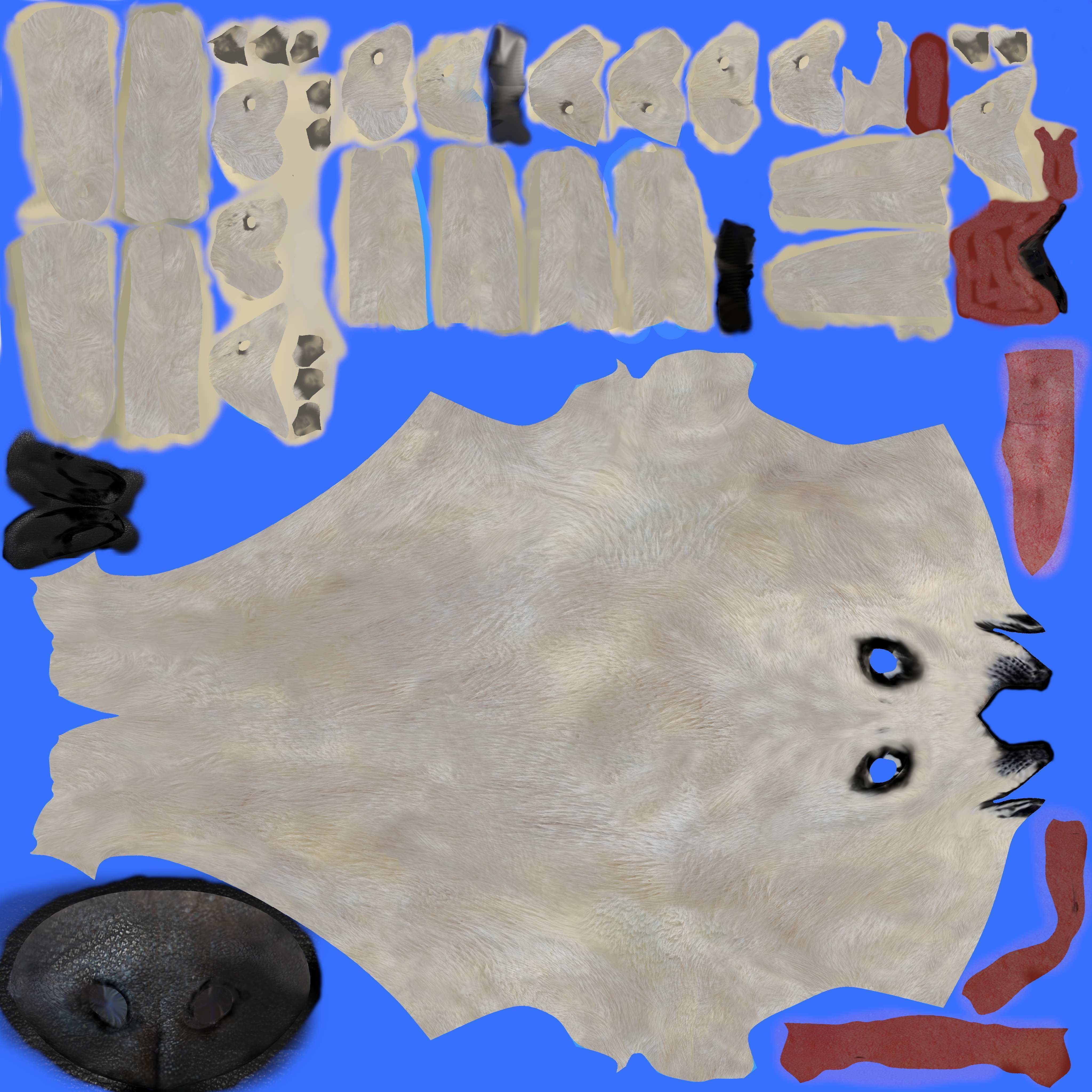 White seal pup  3D model Low-poly 3D model_15