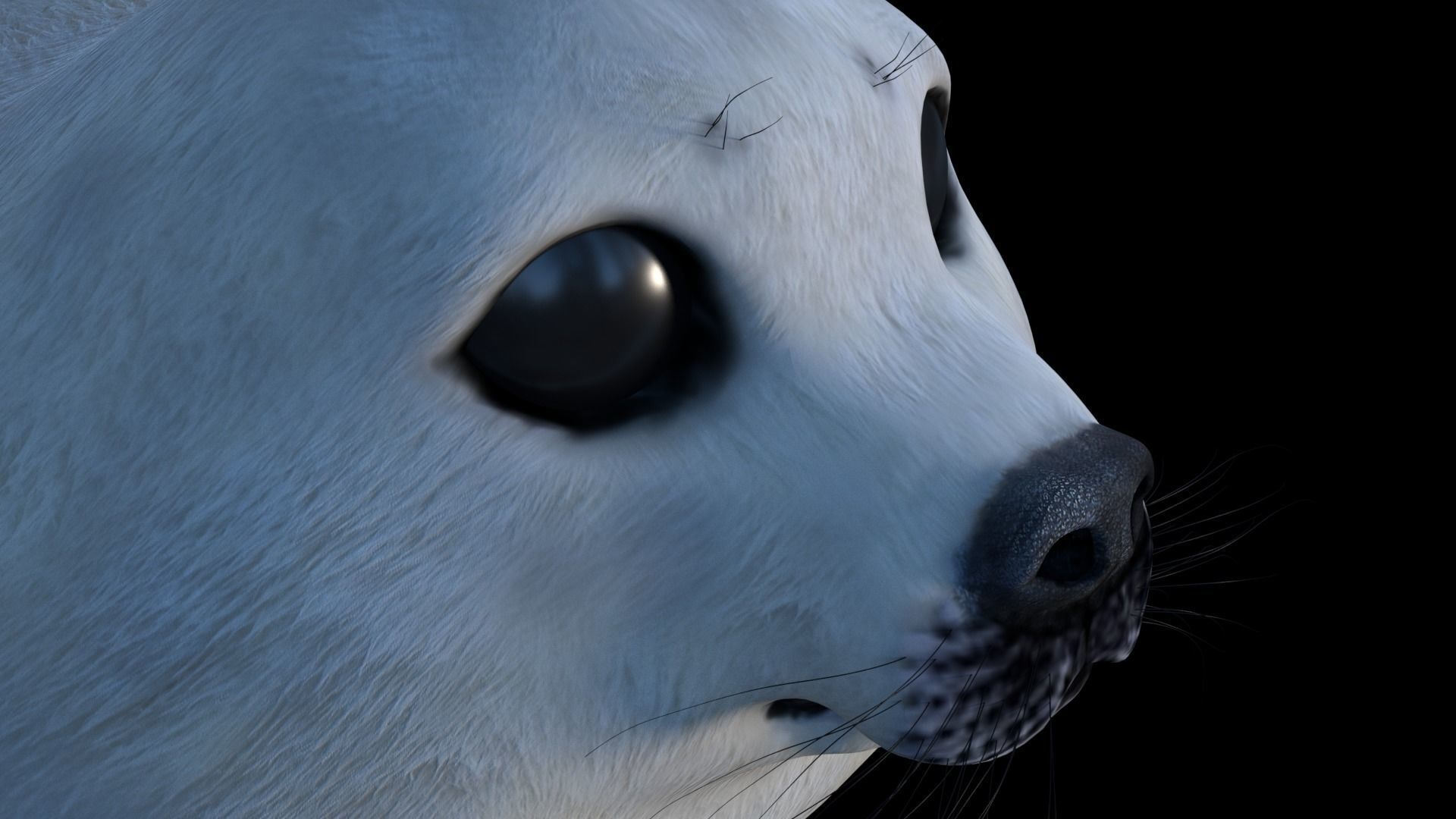 White seal pup  3D model Low-poly 3D model_5