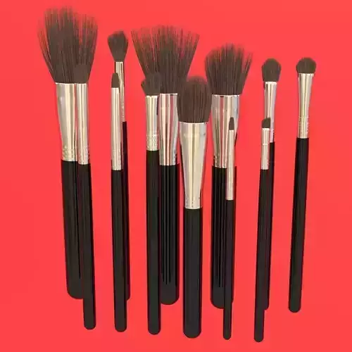 Brush Set 2 six makeup brushes