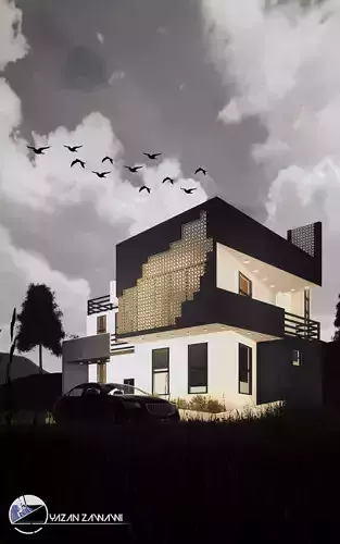 residential modern house with birds flying in sky