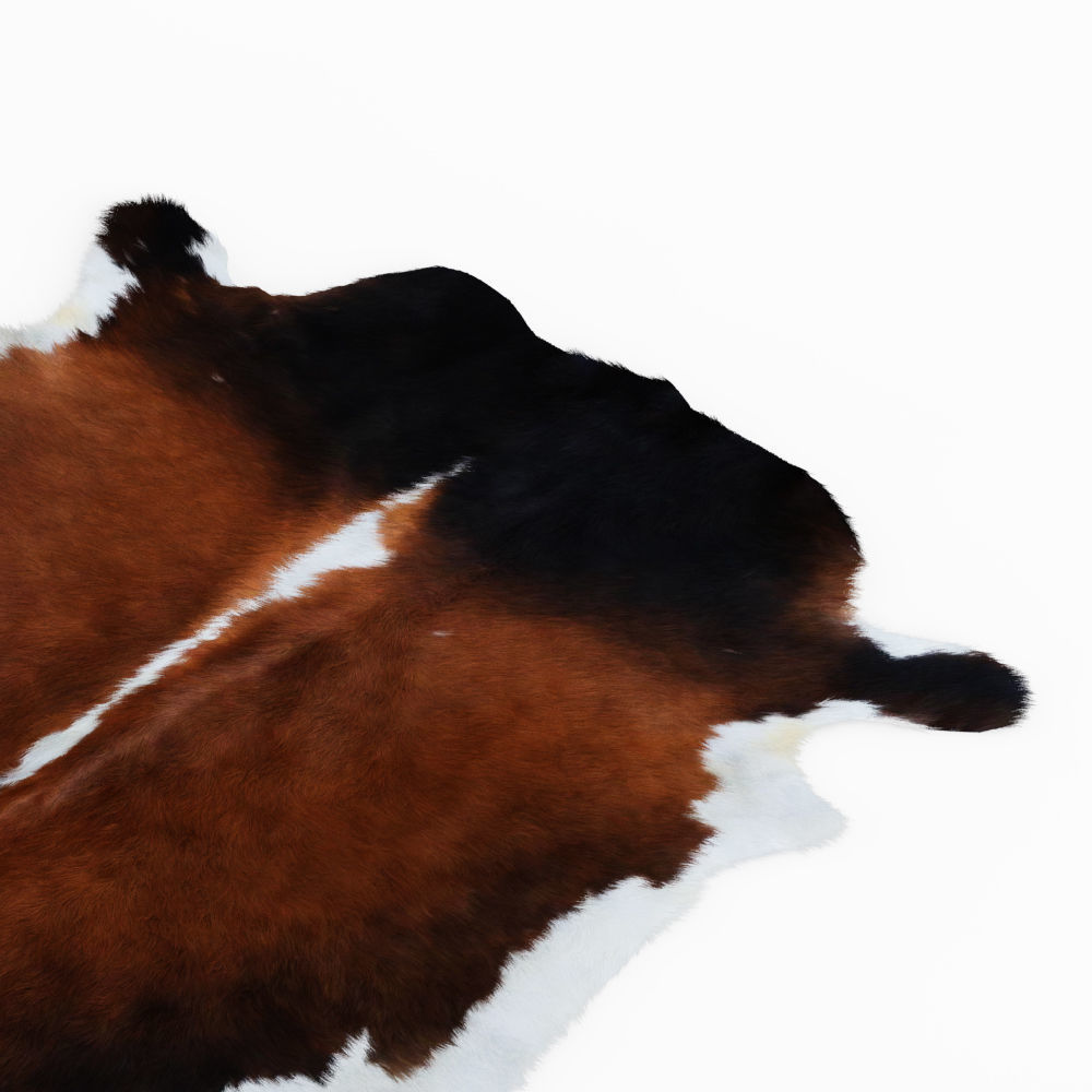 Cowhide Brown And White Rug 3D model_3