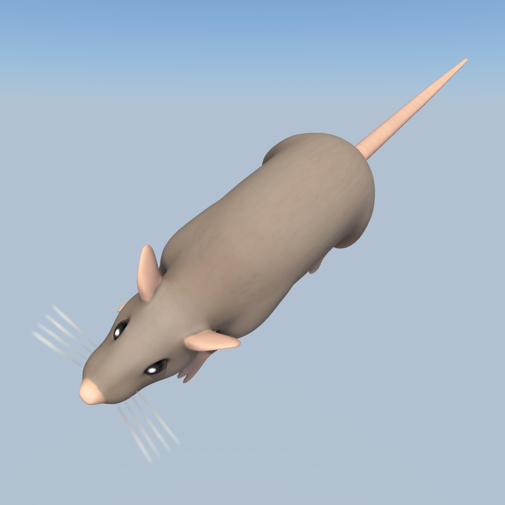 Rat low poly 3d game model Low-poly 3D model_10