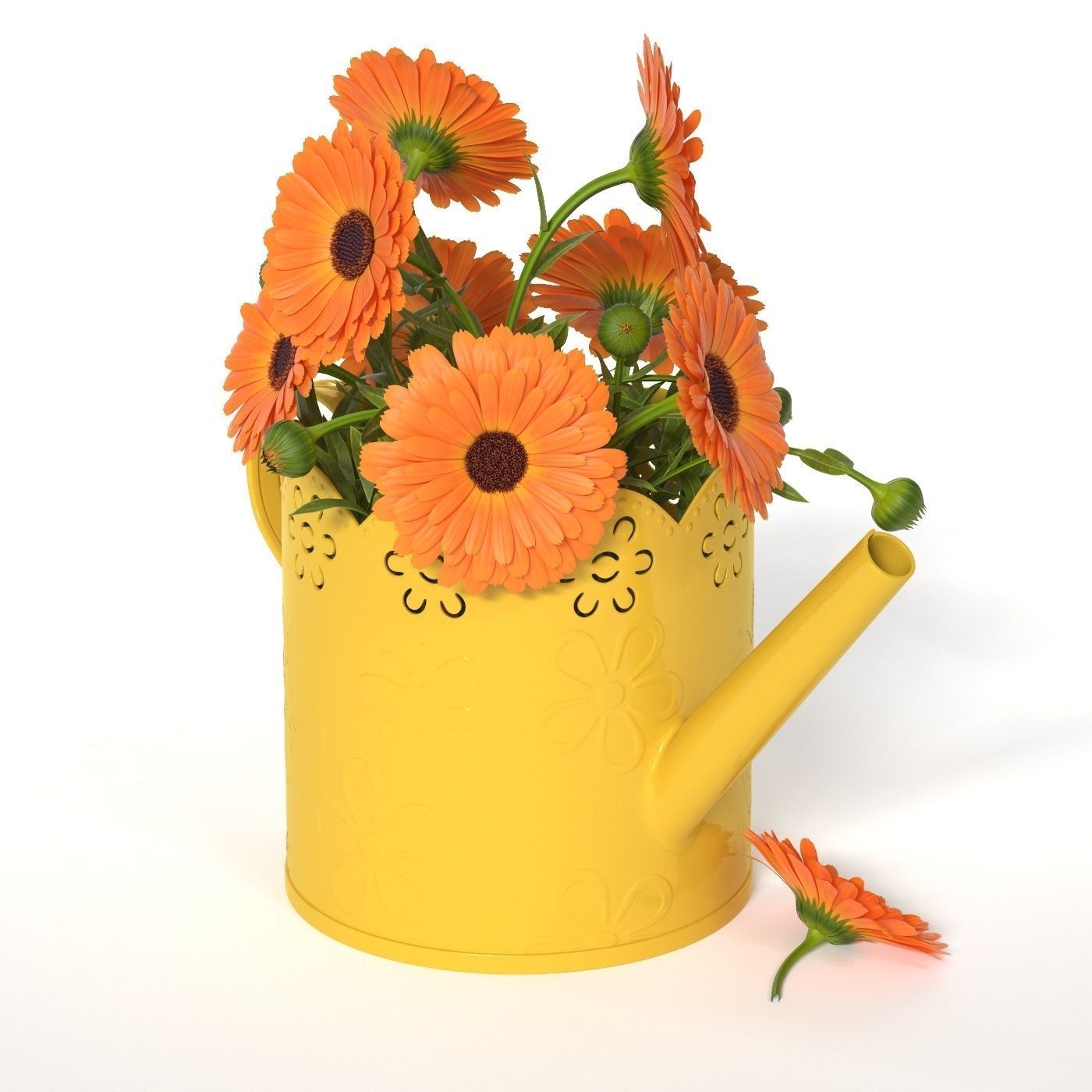 Calendula orange flowers in watering can 3D model_5
