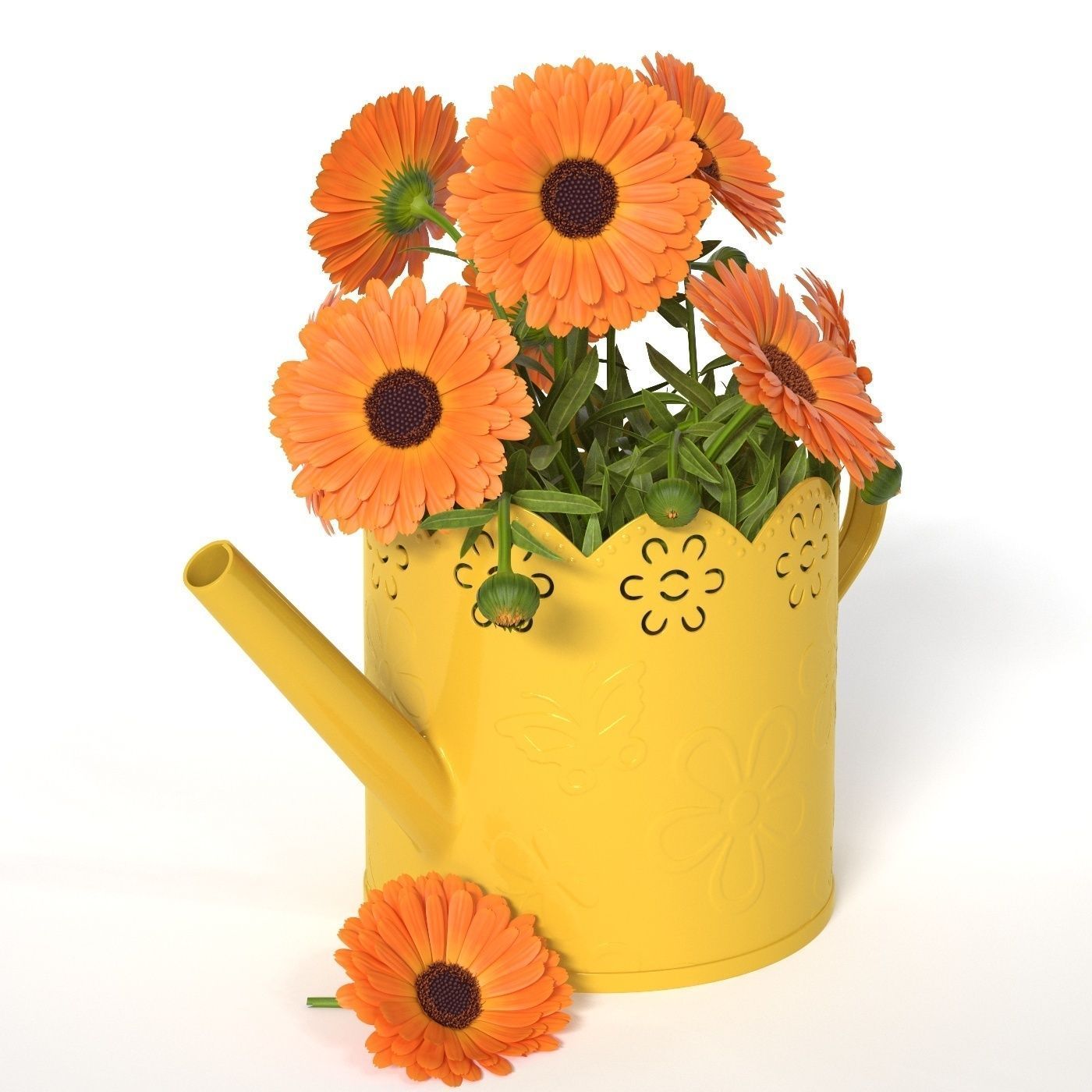 Calendula orange flowers in watering can 3D model_8