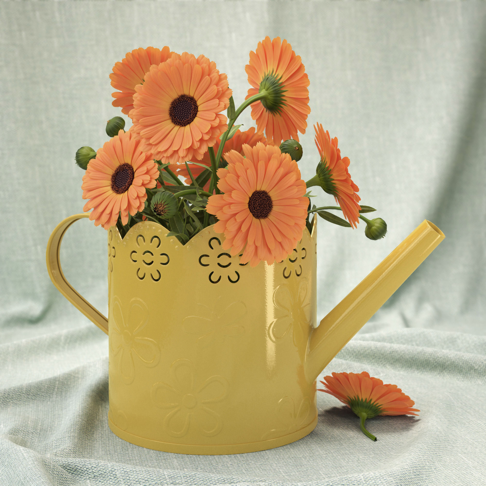 Calendula orange flowers in watering can 3D model_1